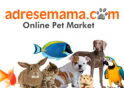 Adresemama.com Adresemama.com