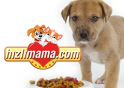 Hizlimama.com Hizlimama.com