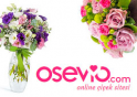 Osevio.com