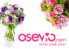 Osevio İndirim kodları