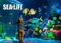 Visitsealife.com Visitsealife.com